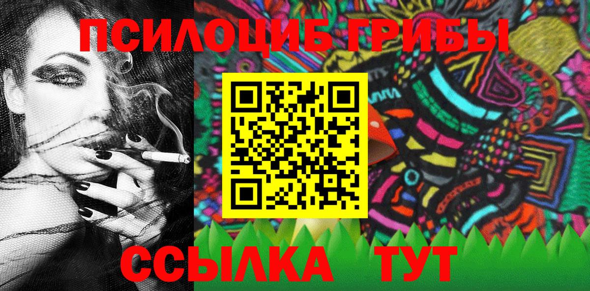 Дубна  Псилоцибиновые грибы Psilocybine cubensis  Вход с VPN 