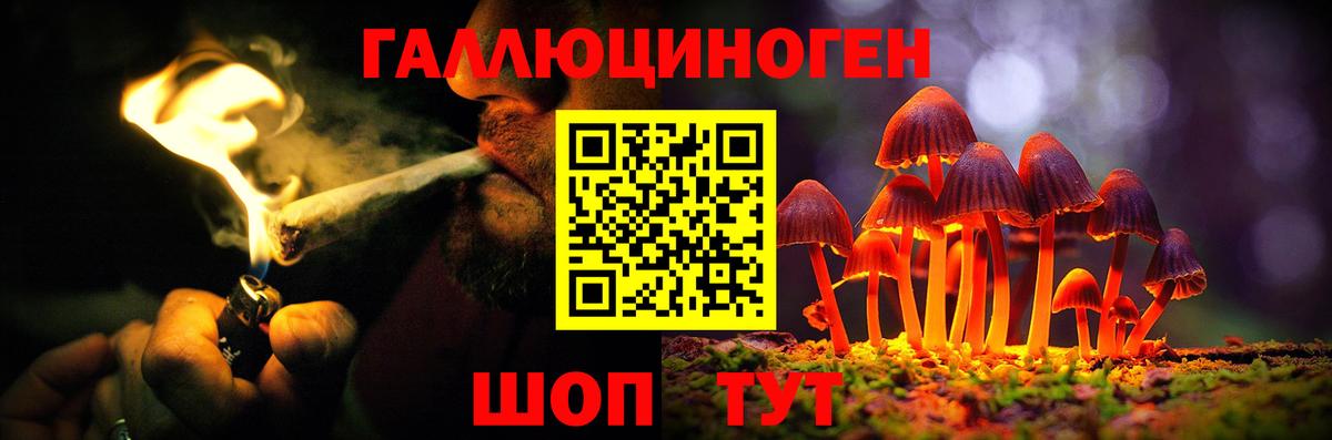 Псилоцибиновые грибы MAGIC MUSHROOMS Дубна